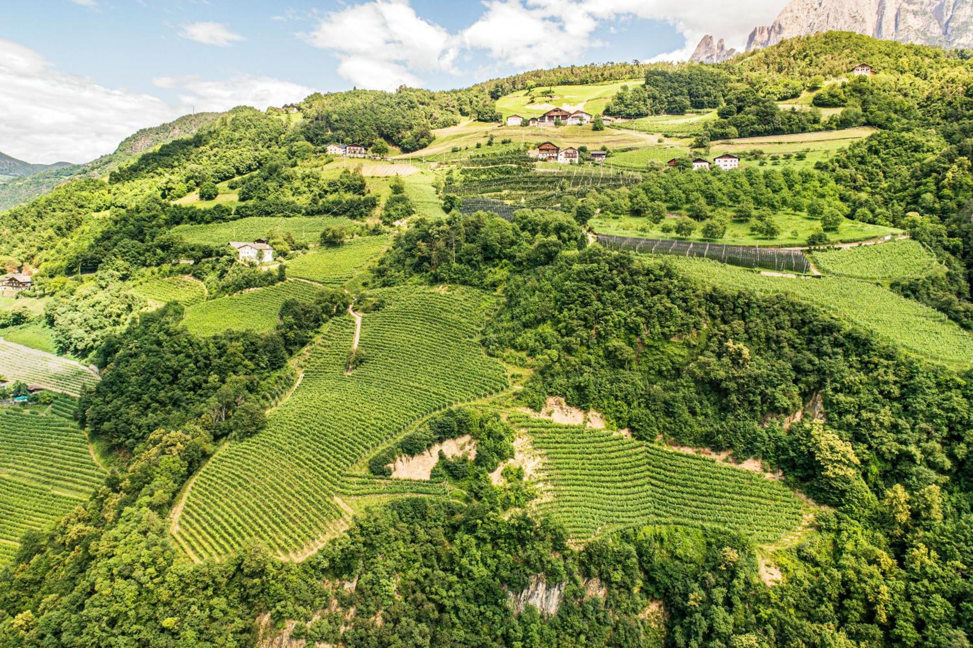 Vila Grottnerhof Fiè Exteriér fotografie